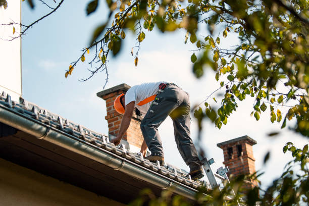 Best Roof Waterproofing Services  in New Castle, DE