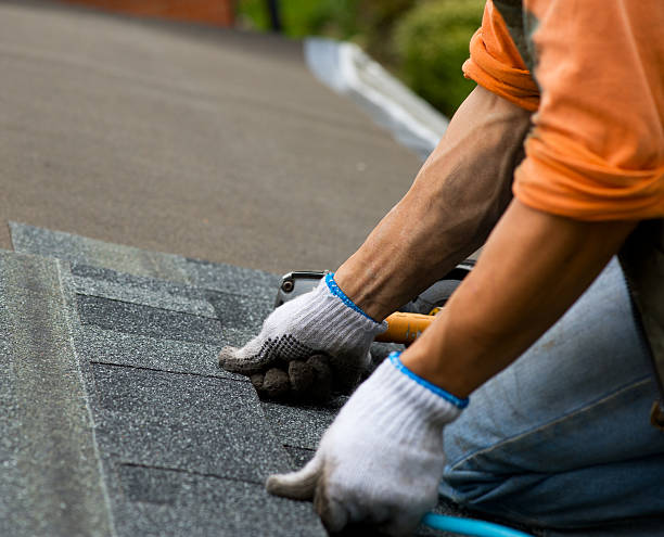 Best Roof Maintenance Services  in New Castle, DE