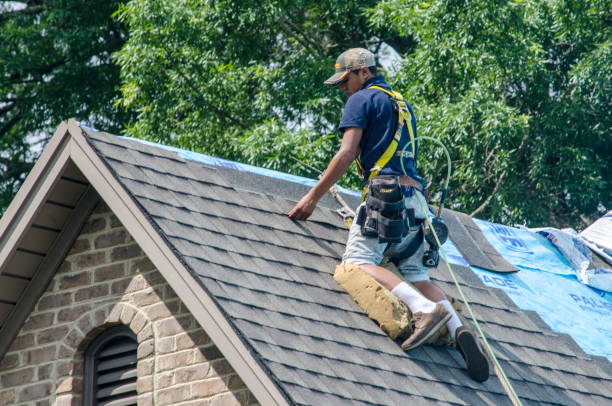 Best Emergency Roof Repair  in New Castle, DE